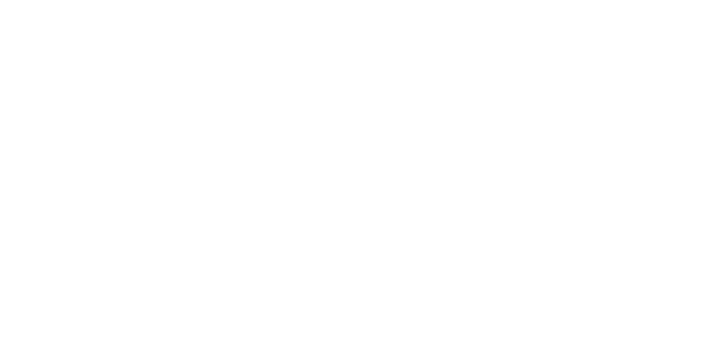 CopyFlag logo
